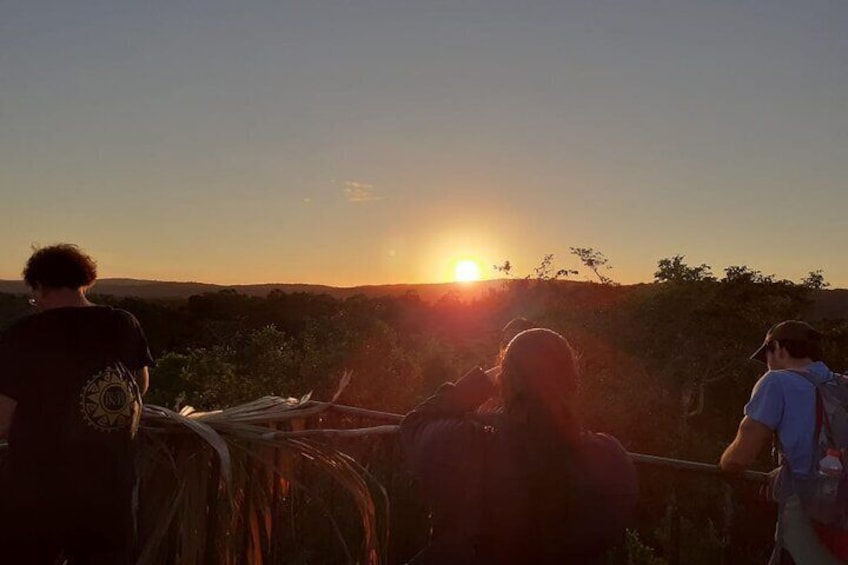 Admire The Sunrise In Tikal - Private Tour From Flores