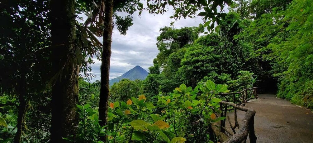 Picture 5 for Activity Private Arenal full day tour 3 activities + lunch at Jalapas