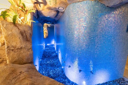 Quarteira: Aquashow Indoor Water Park & Spa Entry Tickets