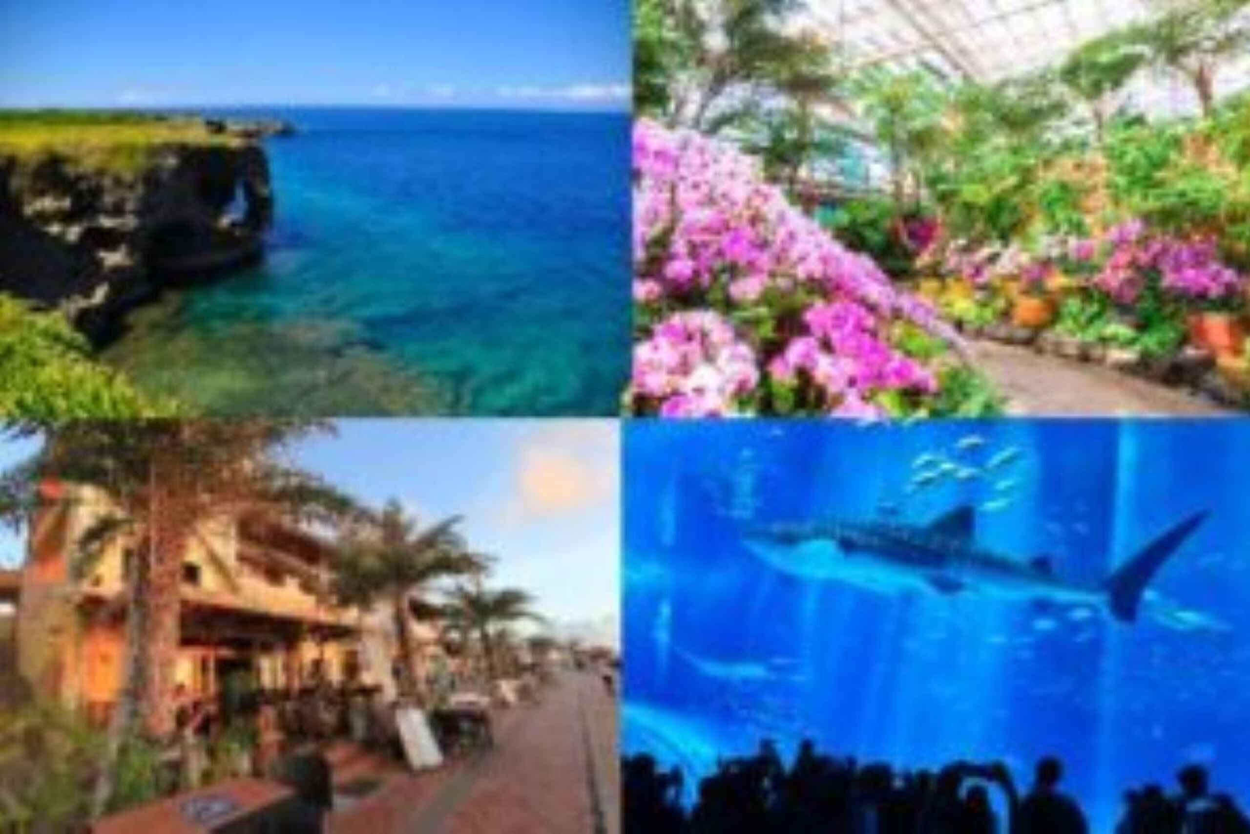 Churaumi Aquarium, Cape Manzamo, American Village