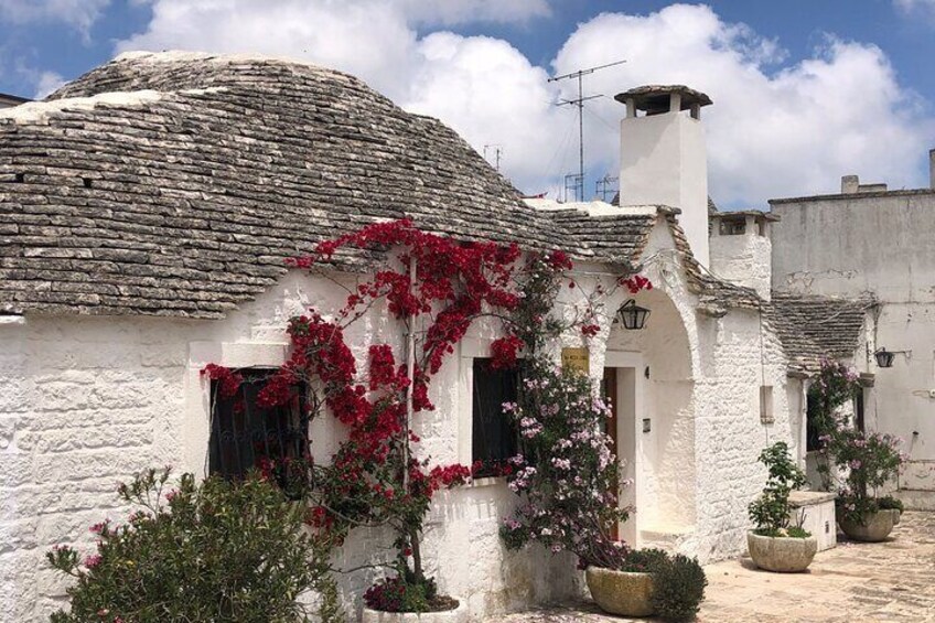 From Brindisi. Ostuni, Alberobello and Polignano a Mare Tour