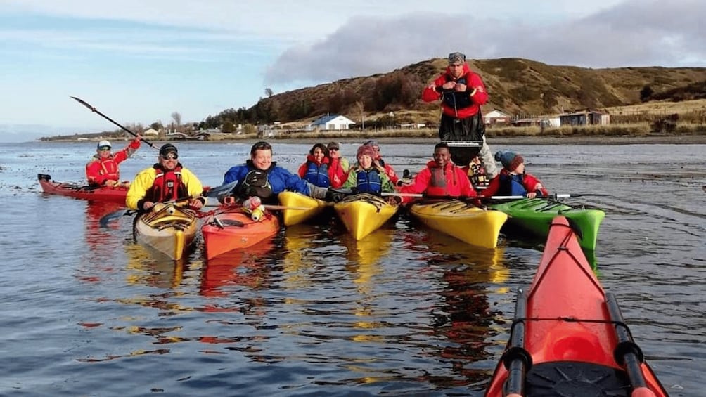 Picture 2 for Activity Punta Arenas: Kayaking Trip with Wildlife