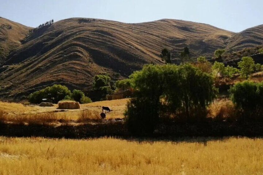 1 Day Trek in the Crater of Maragua and Inca Trails in Sucre