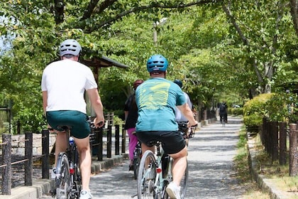 Kyoto E-Bike Tour of Hidden Gems, Backstreets and Temples