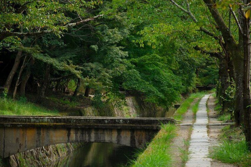 Kyoto E-bike Tour