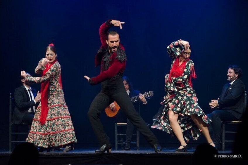 1 hour entrance to Granada Flamenco Theatre