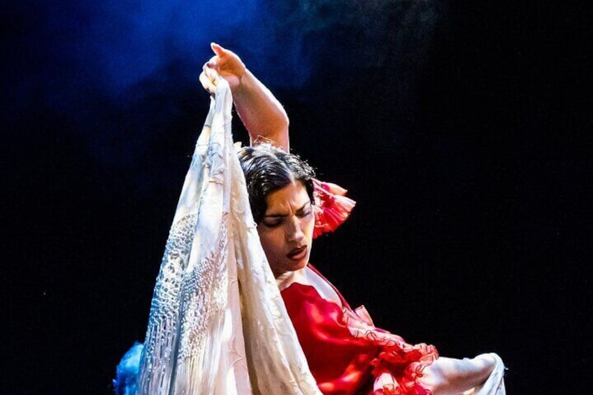 1 hour entrance to Granada Flamenco Theatre