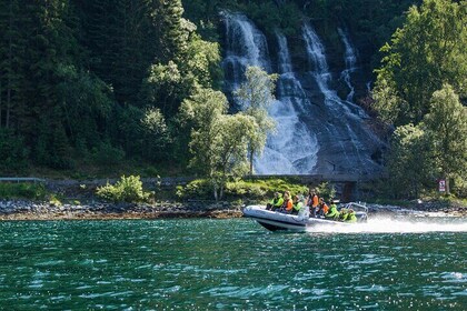 Olden: High Speed sightseeing Rib Boat Tour