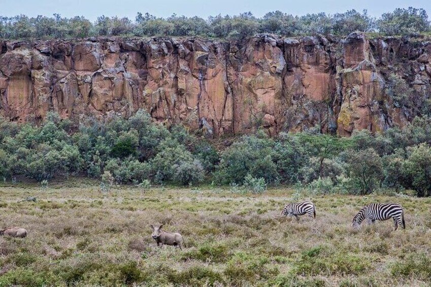 2 Days 1 night safari to Mt Longonot and Hell's Gate Park