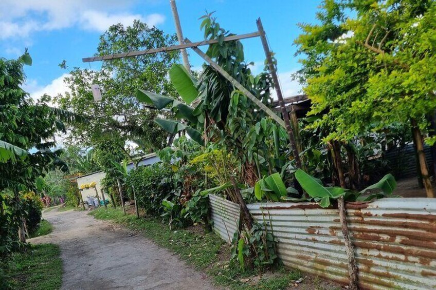 Roads in Mele Village