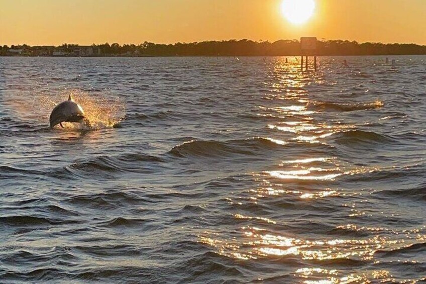 Top Shelf Tikis-Premium Destin Tiki Sunset Cruise