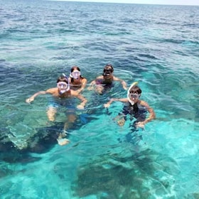 Grand Bahama Island: Reef Rescue Snorkel Experience