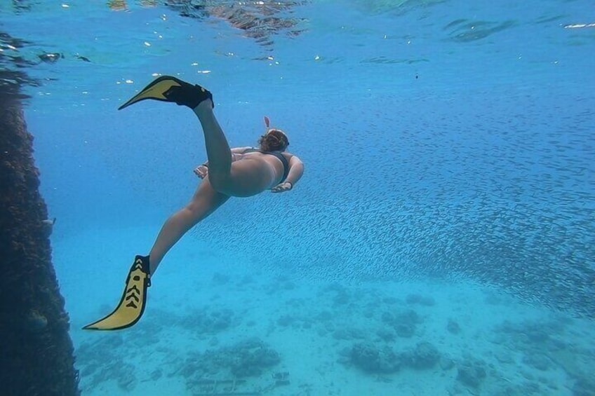 Snorkeling with Sea Turtles 