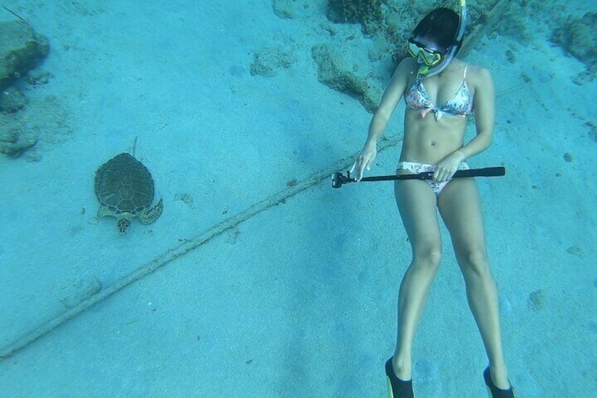 Snorkeling with Sea Turtles 