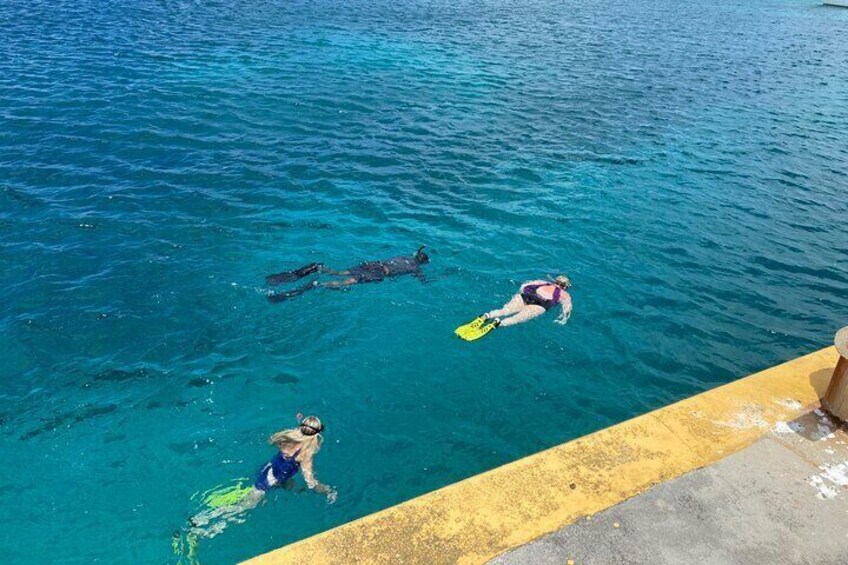 Snorkeling with Sea Turtles 