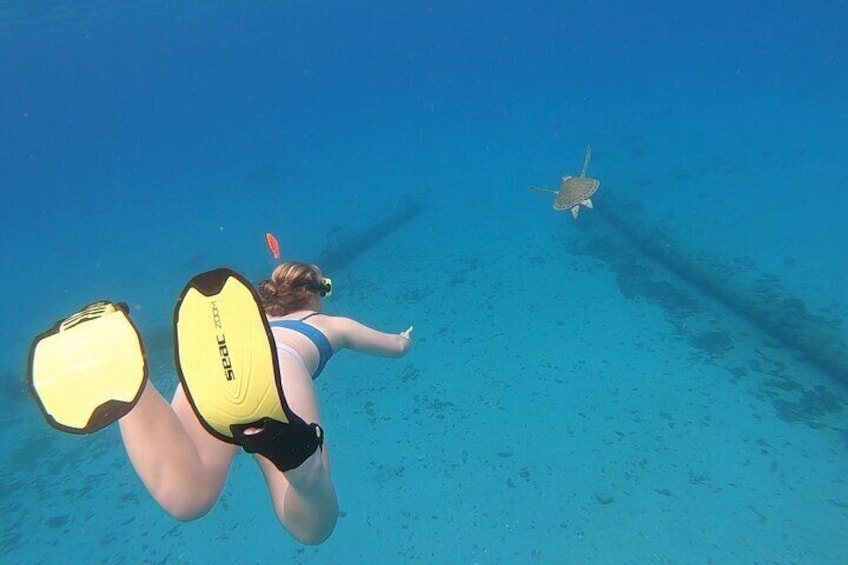 Snorkeling with Sea Turtles 