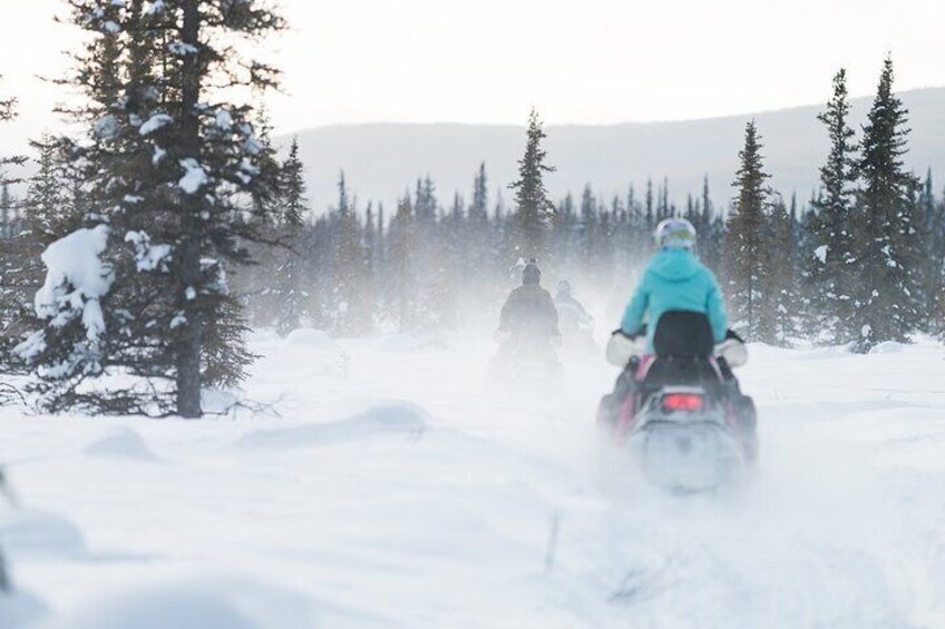 2-Hour Guided Snowmobile Tour in Fairbanks