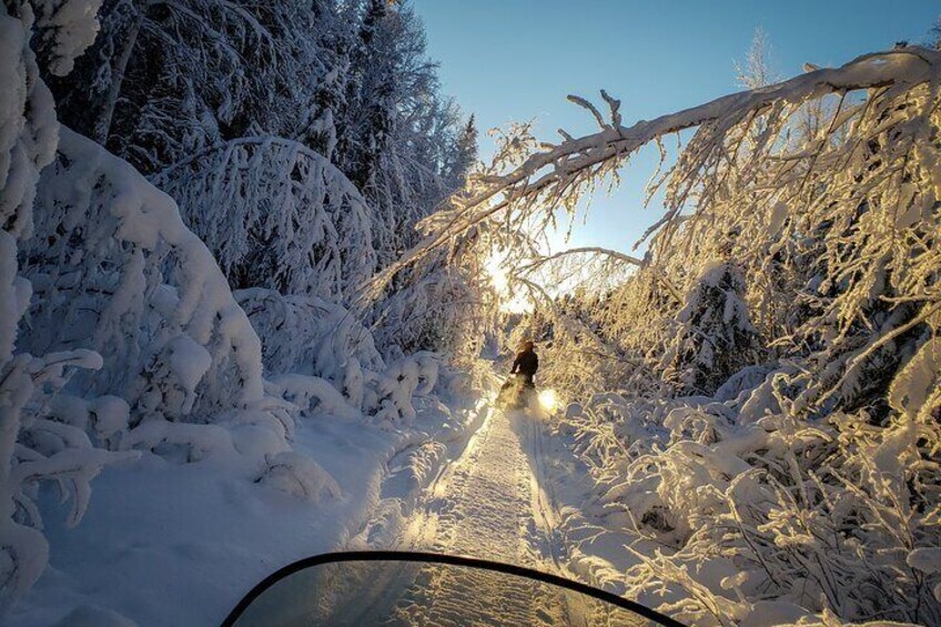 2-Hour Guided Snowmobile Tour in Fairbanks