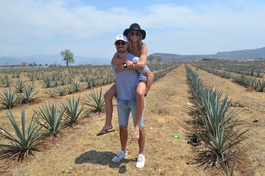 Full Day Guided Tour in Amatitán and Tequila with Tasting