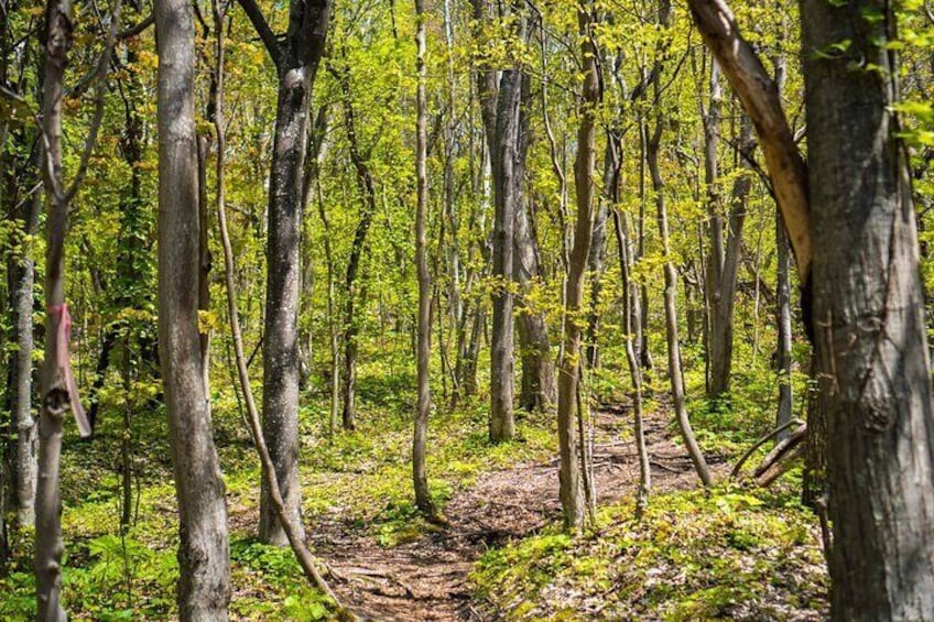 Mt. Usu Hiking Tour and Visit Lake Toya from Hokkaido