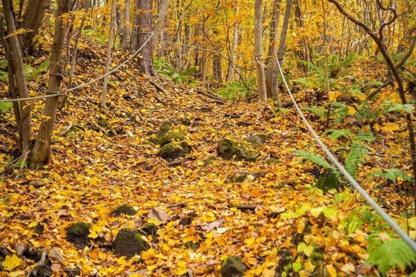Mt. Usu in autumn