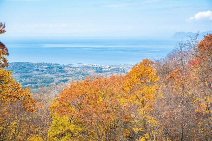 Mt. Usu in autumn