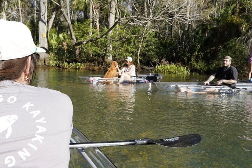 Explore The Chaz: Exclusive Clear Kayak Tours Near Crystal River