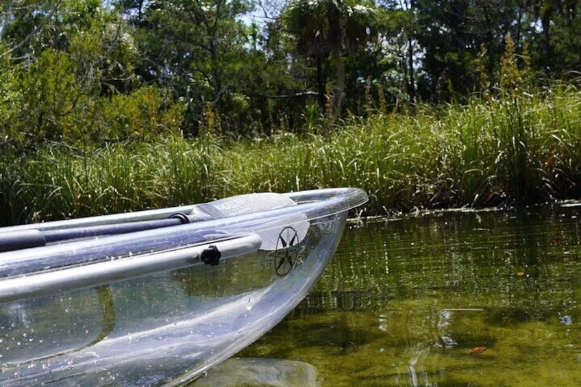 Explore The Chaz: Exclusive Clear Kayak Tours Near Crystal River