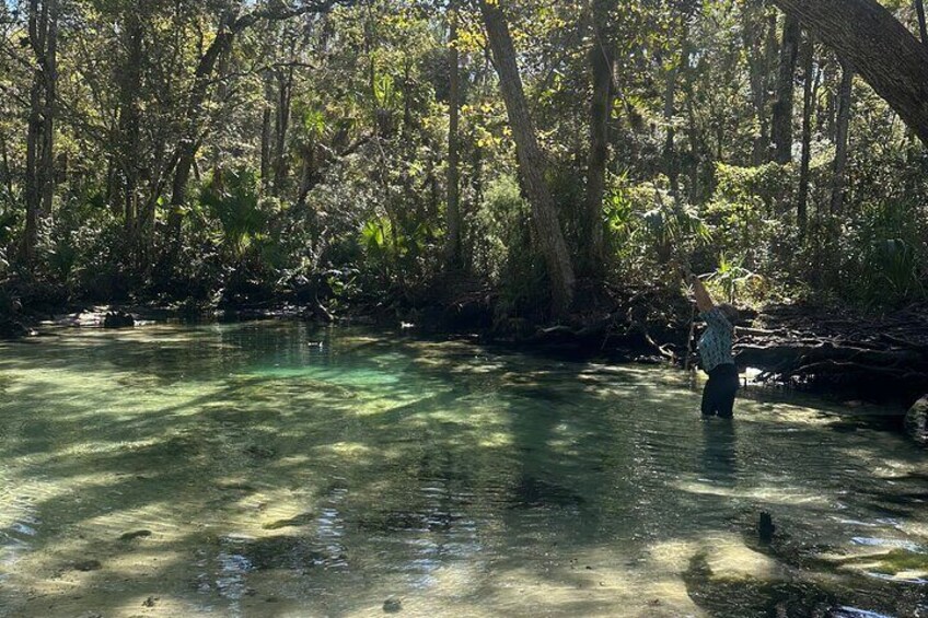 Clear Kayak Tours on Chassahowitzka River