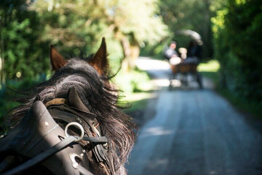 Private Jaunting Tour and Afternoon Tea in Killarney