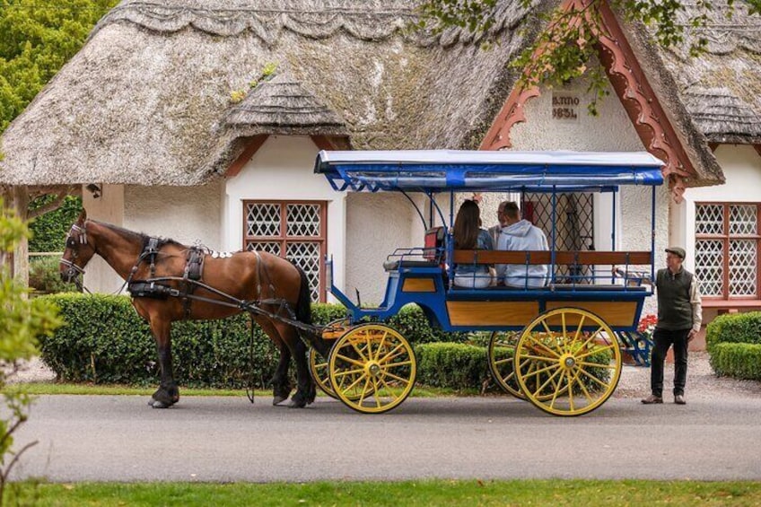 Private Jaunting Tour and Afternoon Tea in Killarney