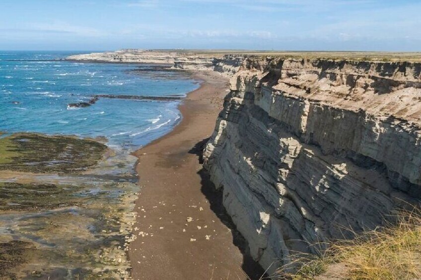 Private Full Day Tour in Peninsula Valdés