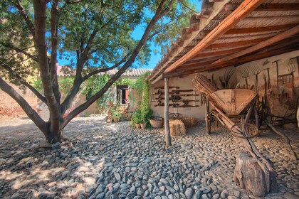 Santadi (SU): visit to the Archaeological and Ethnographic Museum