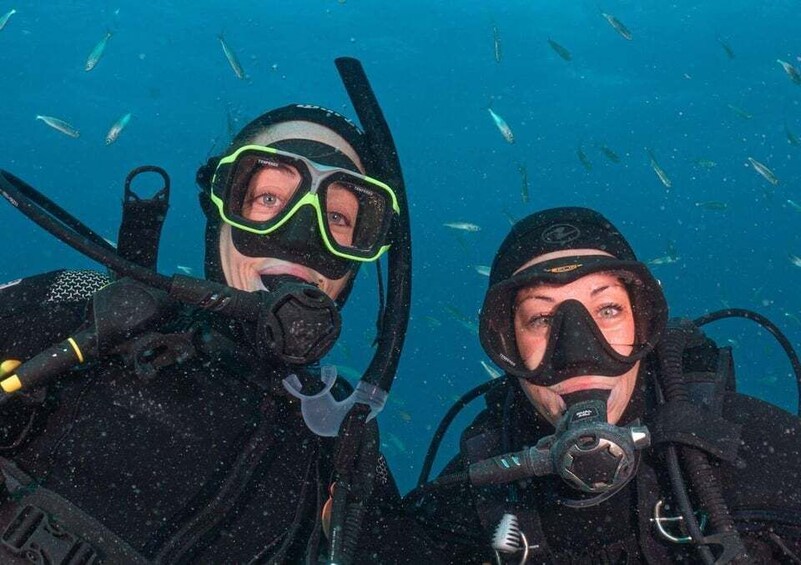 Picture 2 for Activity Lanzarote: Scuba Diving Refresher Course