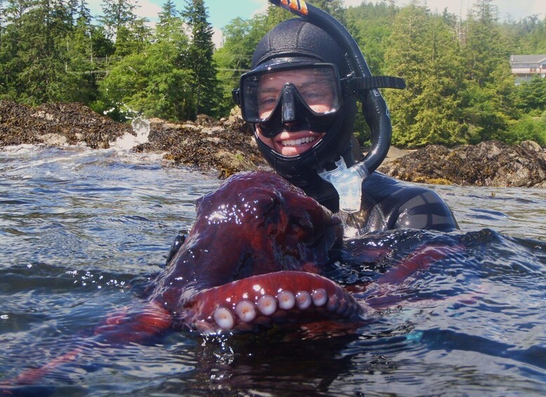 Picture 2 for Activity Ketchikan, Alaska: The Mountain Point Snorkeling Adventure