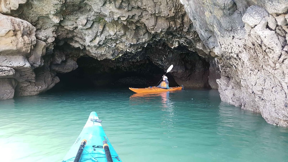 Picture 1 for Activity Lyttelton: Shore Excursion, Sea Kayaking, Small Group Tour