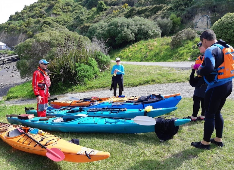 Picture 9 for Activity Lyttelton: Shore Excursion, Sea Kayaking, Small Group Tour