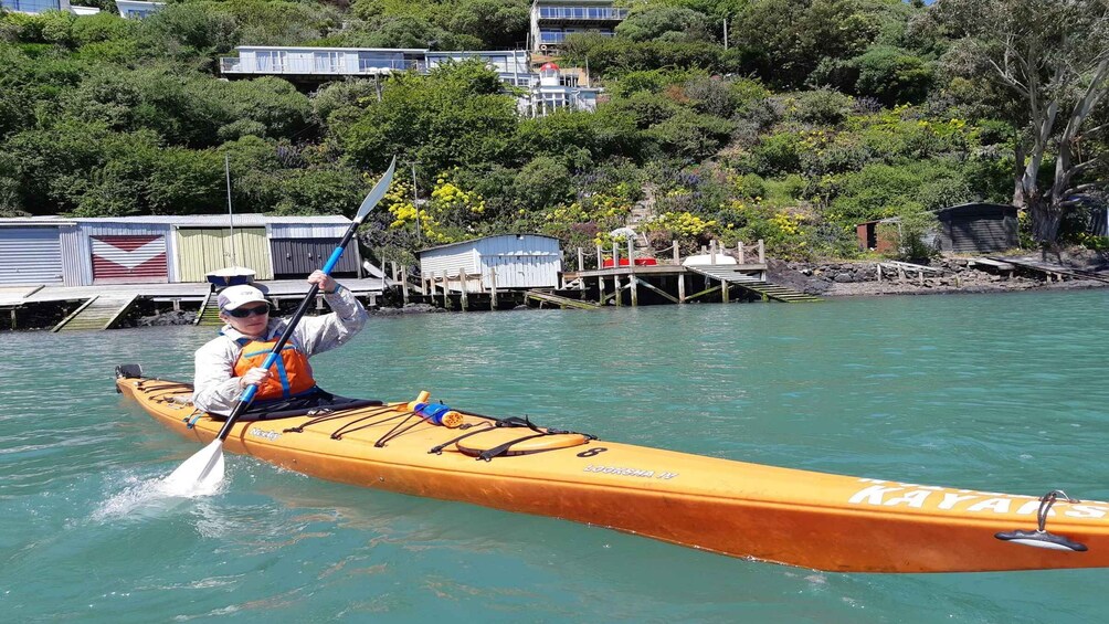 Picture 13 for Activity Lyttelton: Shore Excursion, Sea Kayaking, Small Group Tour