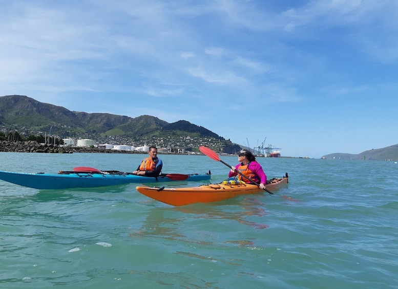 Picture 5 for Activity Lyttelton: Shore Excursion, Sea Kayaking, Small Group Tour