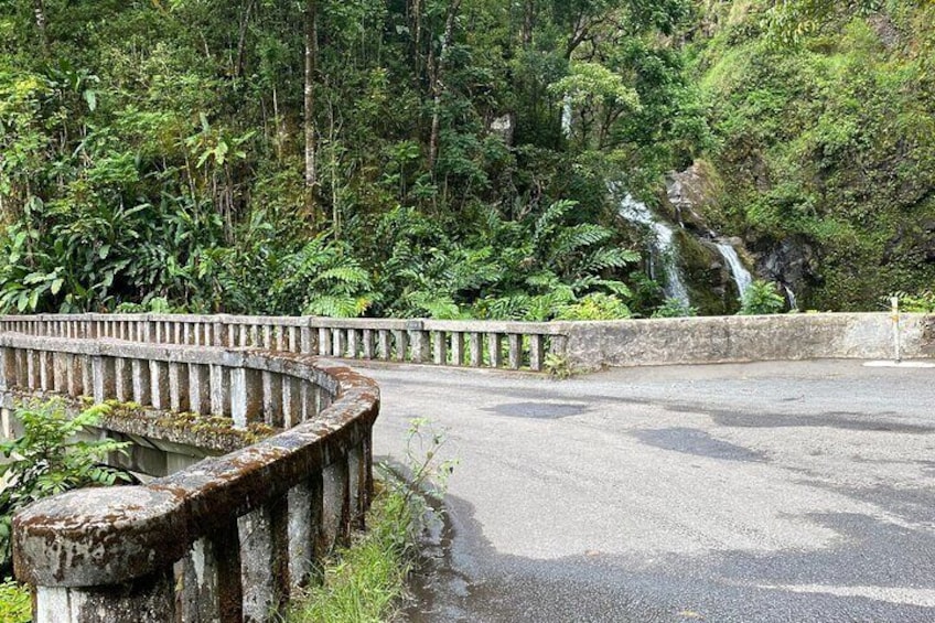 Maui by Storm: Private Road to Hana Adventure Up to 6 Guests