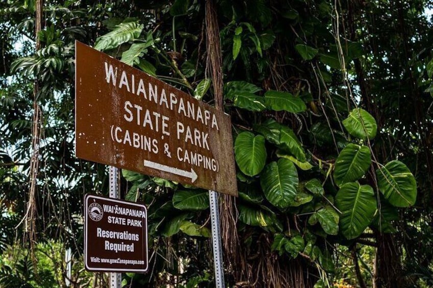 Take Maui by Storm: Epic Private Luxury Road to Hana Adventure Tour