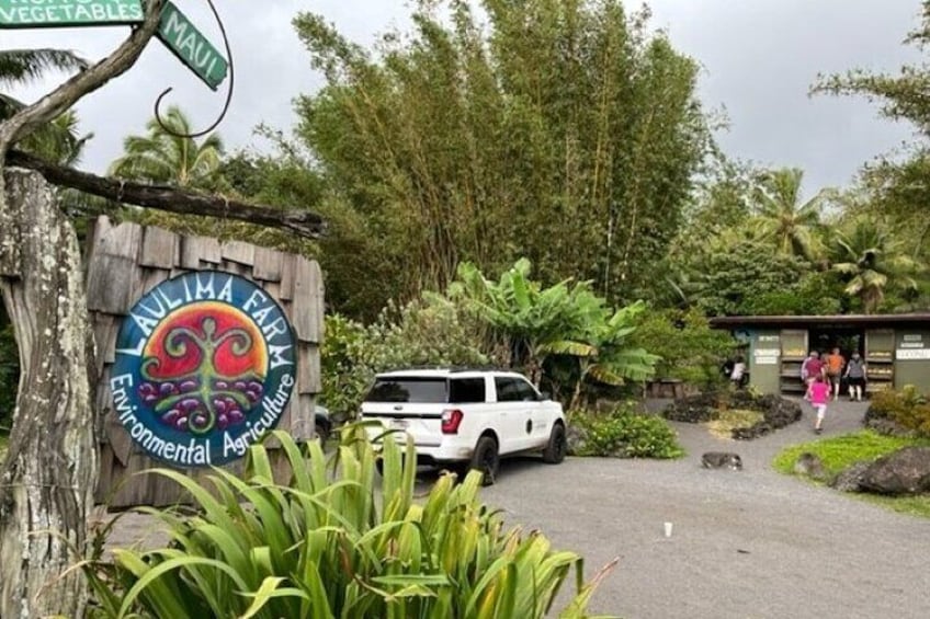 Maui by Storm: Private Road to Hana Adventure Up to 6 Guests