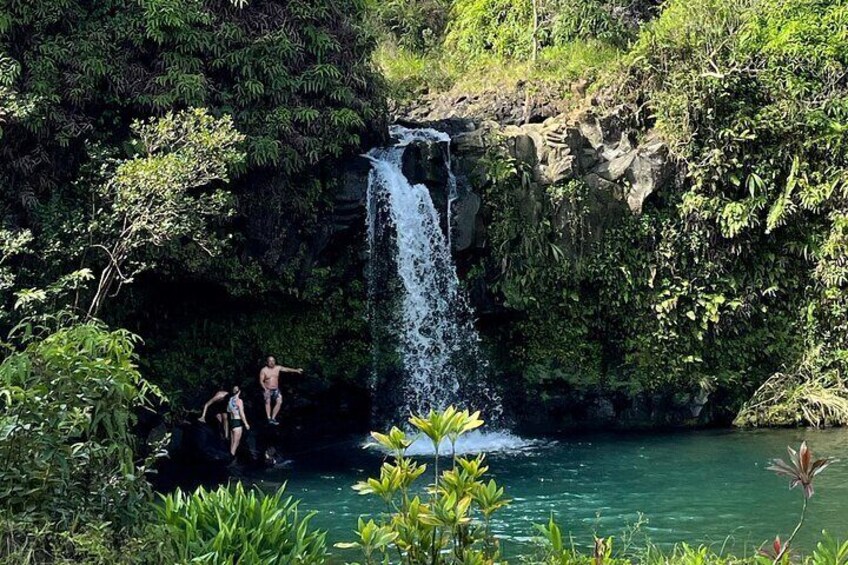Maui by Storm: Private Road to Hana Adventure Up to 6 Guests