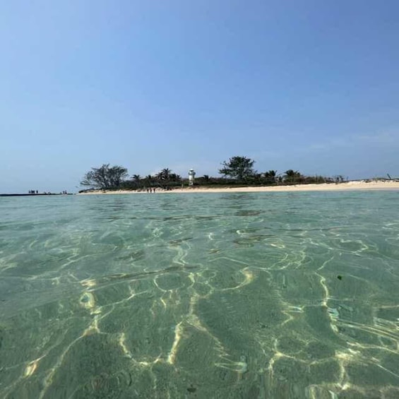 Snorkel (Isla de en Medio)