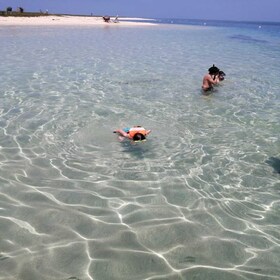 Veracruz: Snorkelling Adventure at Isla de En Medio