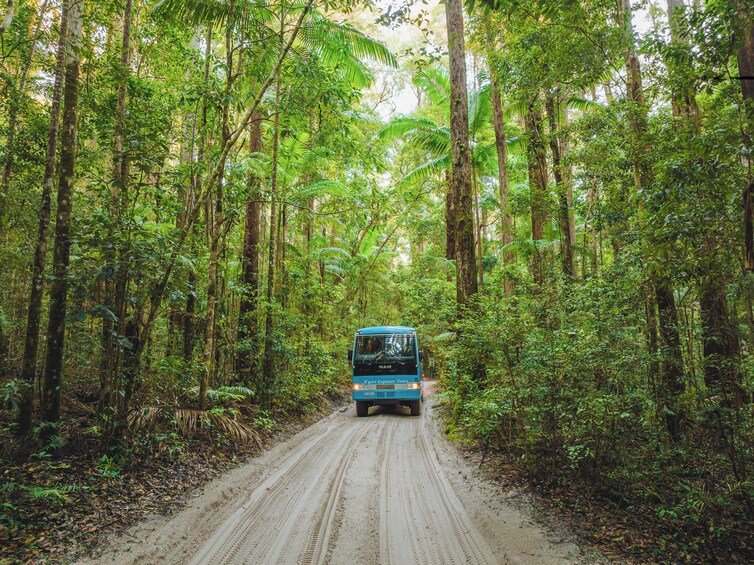 K'gari Four-Day Experience departing Hervey Bay 