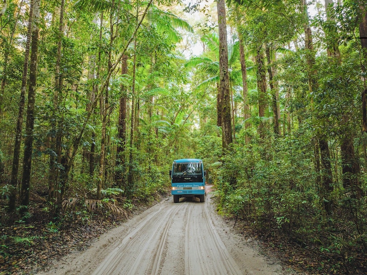 K'gari Five-Day Ultimate Tour departing Hervey Bay