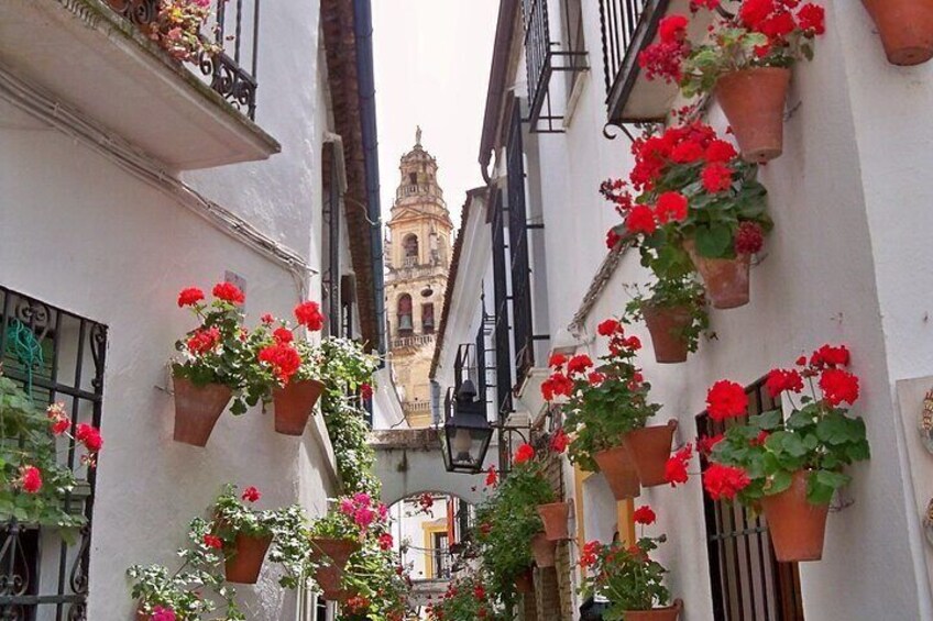 Calleja de las Flores