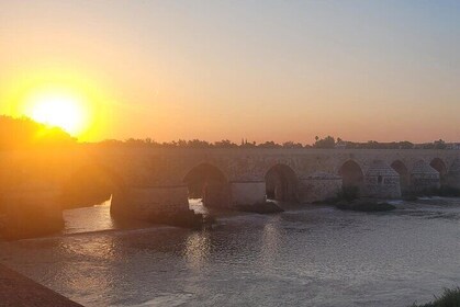 Cordoba Private Walking Tour