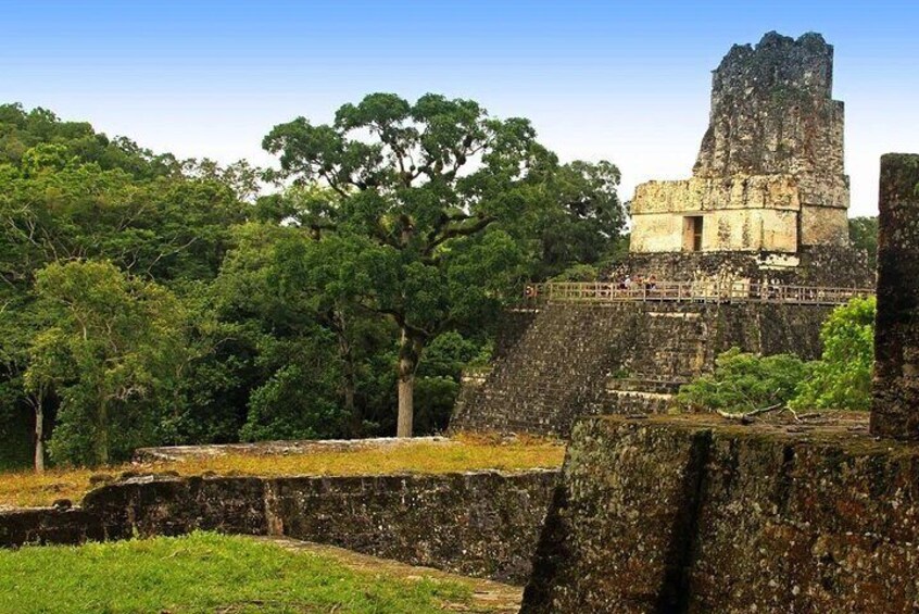 Full-Day Collective Tour in Tikal from Flores Peten with Lunch